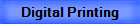Direct to Garment Printing