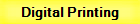 Direct to Garment Printing
