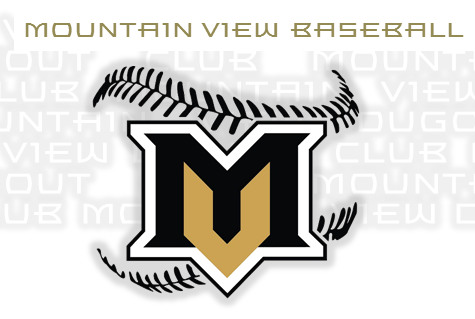 Mountain View Baseball